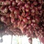 Bawang Merah brebes 1 kg