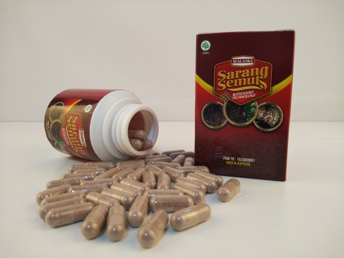 Obat Sarang Semut Original 200 Gram 