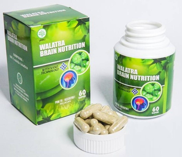 Obat Brain Nutrition Original 200 Gram
