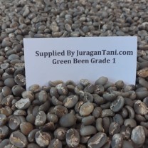 Kopi Green Bean Arabika Grade 1 ( 1 Kg )